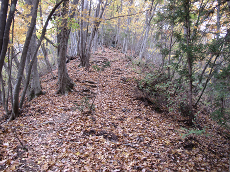 20181126hike (28)